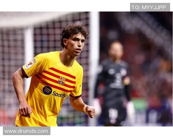 足球明星中那些名字带有马字的传奇球员与他们的辉煌成就回顾